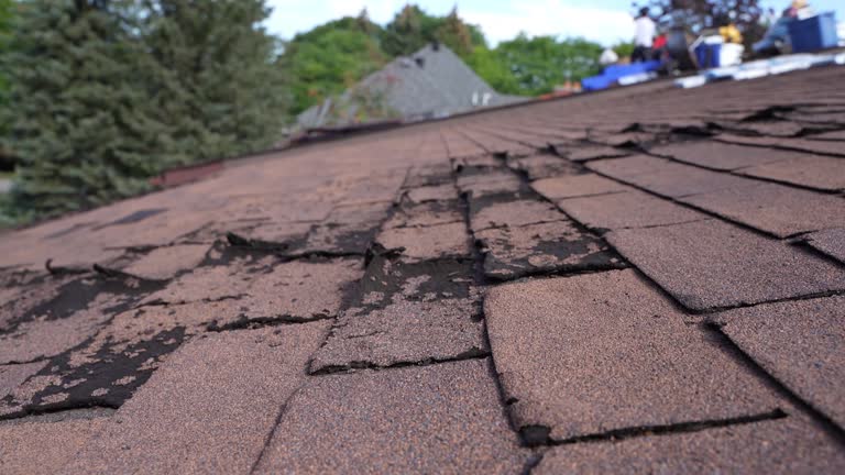 Cold Roofs in St Augustine Shores, FL