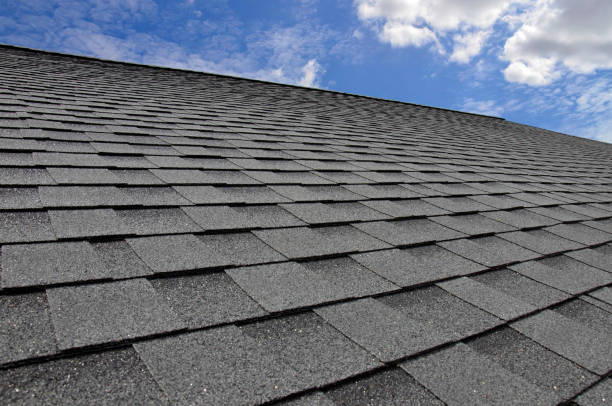 Best Green or Eco-Friendly Roofing Solutions  in St Augustine Shores, FL